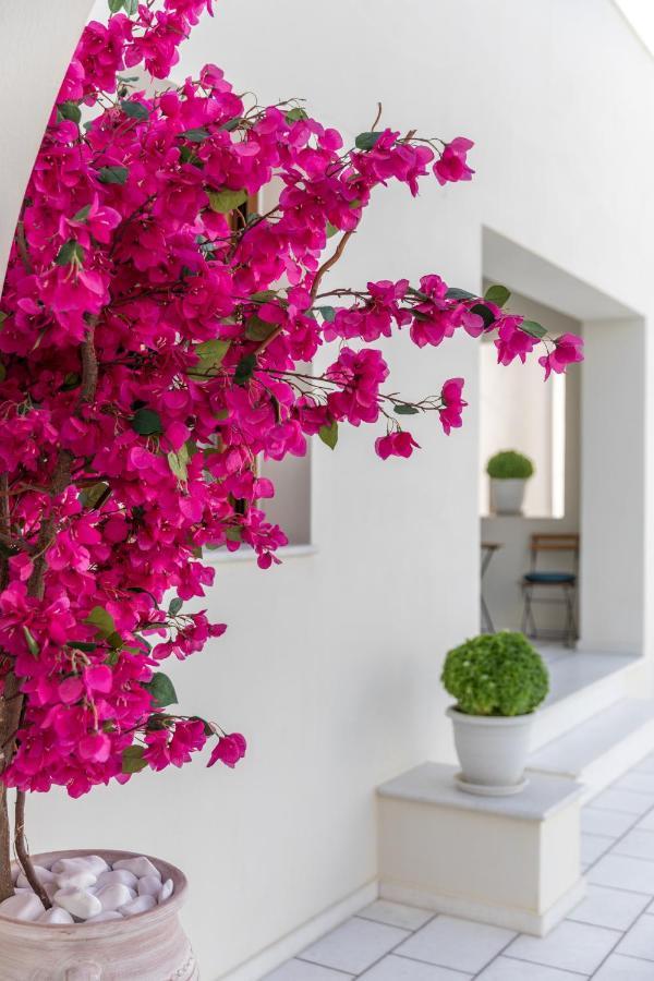100 Steps - Harmony Apartment Naxos City Екстериор снимка